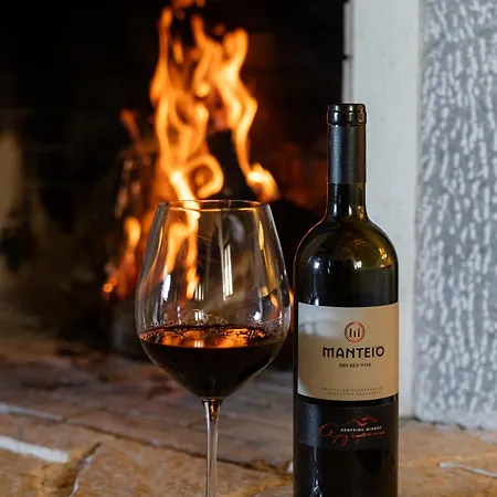 Argyriou Wine Tasting Guest house